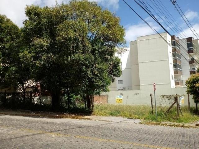 #ter0011 - Terreno para Venda em Caxias do Sul - RS - 2