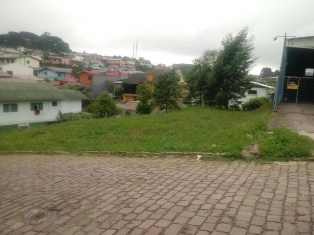 #ter0016 - Área para Venda em Caxias do Sul - RS - 3