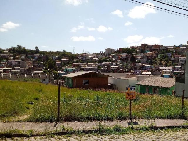 #ter0010 - Terreno para Venda em Caxias do Sul - RS - 2