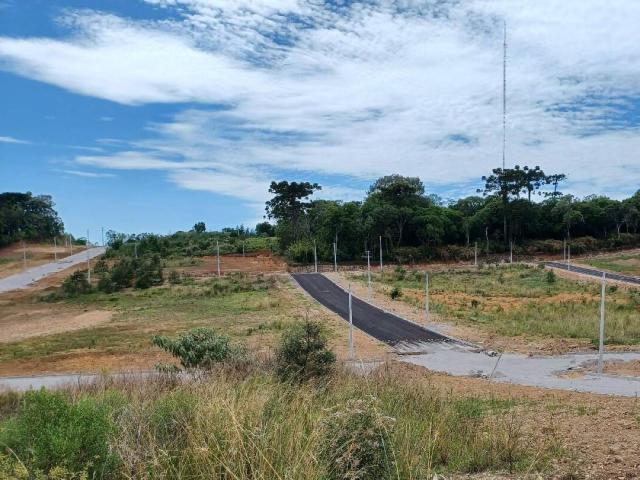 #ter0041 - Terreno para Venda em Caxias do Sul - RS - 1