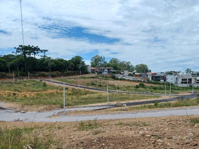 #ter0041 - Terreno para Venda em Caxias do Sul - RS - 2