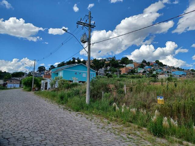 #ter0042 - Área para Venda em Caxias do Sul - RS - 2