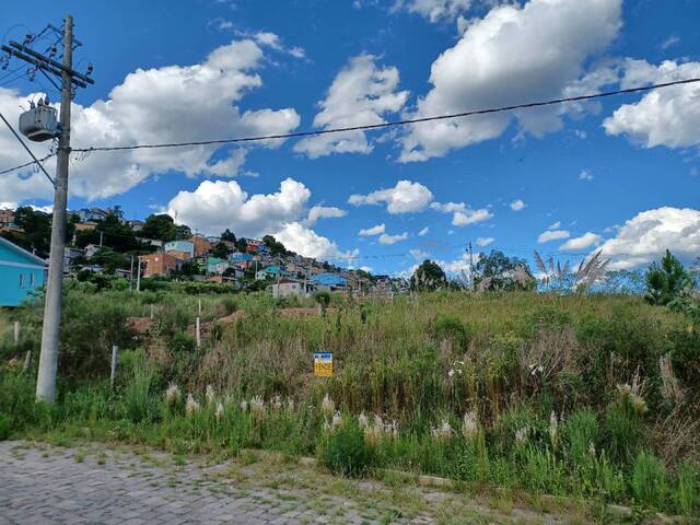 #ter0042 - Área para Venda em Caxias do Sul - RS - 3