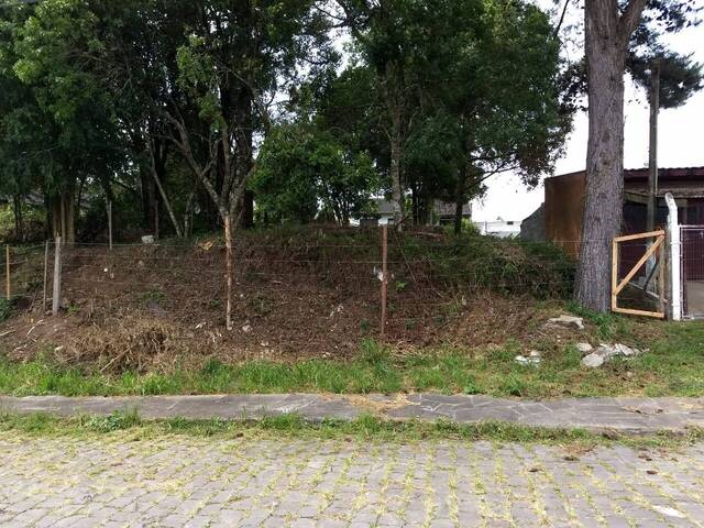 #ter0053 - Terreno para Venda em Caxias do Sul - RS - 2