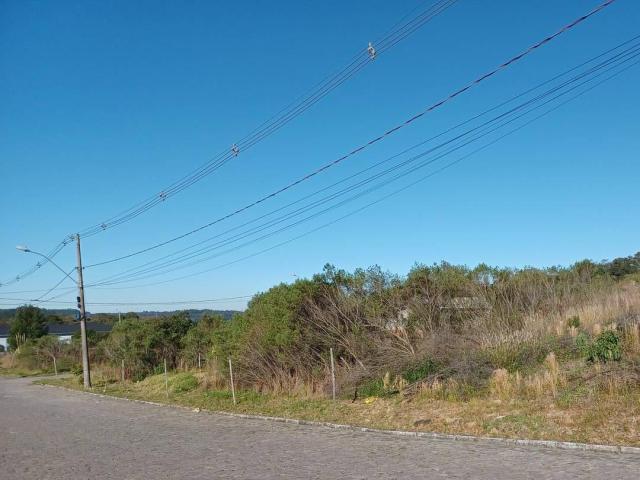 #ter0054 - Terreno para Venda em Caxias do Sul - RS - 2