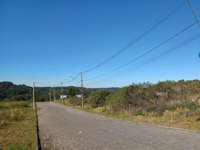 #ter0054 - Terreno para Venda em Caxias do Sul - RS - 3