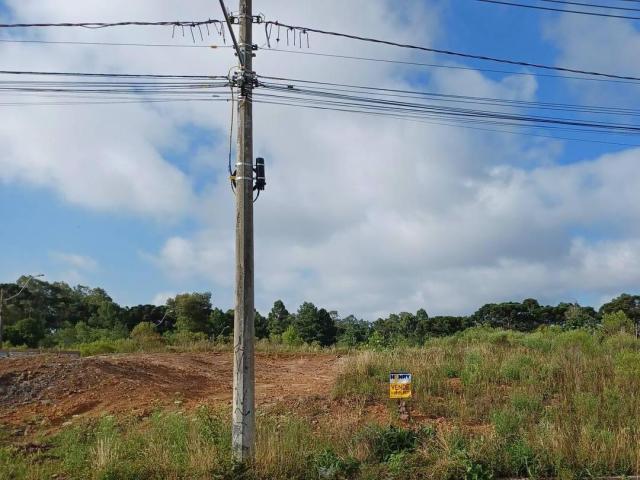 #ter0036 - Área para Venda em Caxias do Sul - RS - 1