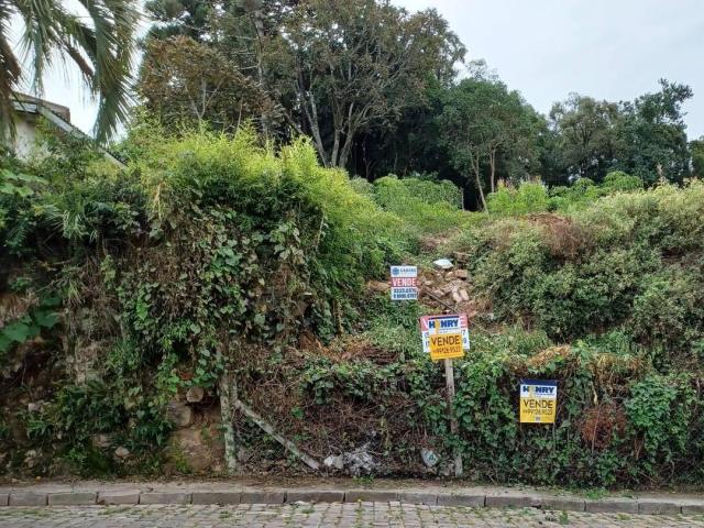 #ter0066 - Área para Venda em Caxias do Sul - RS - 2