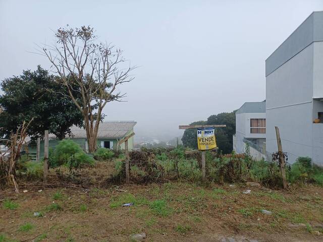 #ter0009 - Área para Venda em Caxias do Sul - RS - 3