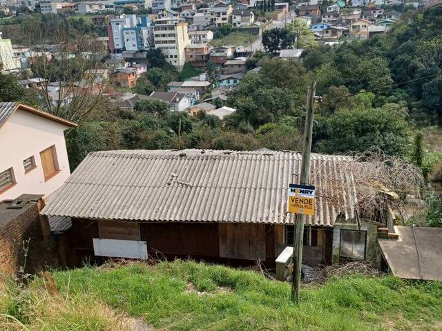 #ter0060 - Terreno para Venda em Caxias do Sul - RS - 2