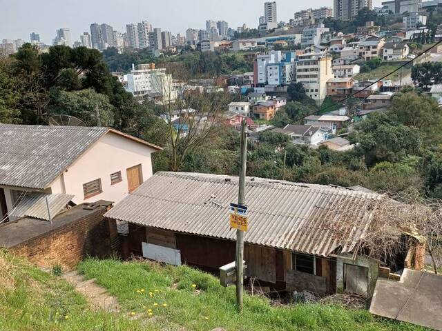 #ter0060 - Terreno para Venda em Caxias do Sul - RS - 1